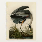 Audubon Great Blue Heron Marsh Bird Planer (Vorderseite)