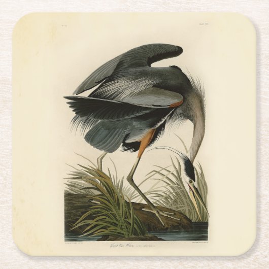 Audubon Great Blue Heron Marsh Bird Rechteckiger Pappuntersetzer (Vorderseite)