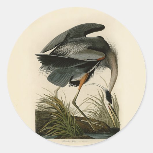 Audubon Great Blue Heron Marsh Bird Runder Aufkleber (Vorderseite)