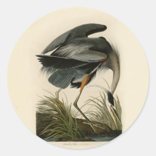 Audubon Great Blue Heron Marsh Bird Runder Aufkleber