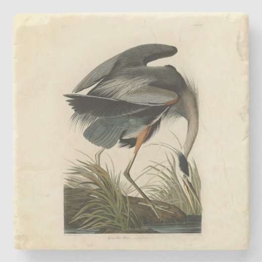 Audubon Great Blue Heron Marsh Bird Steinuntersetzer (Vorderseite)