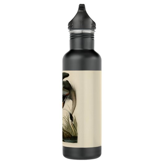 Audubon Great Blue Heron Marsh Bird Trinkflasche (Rechts)