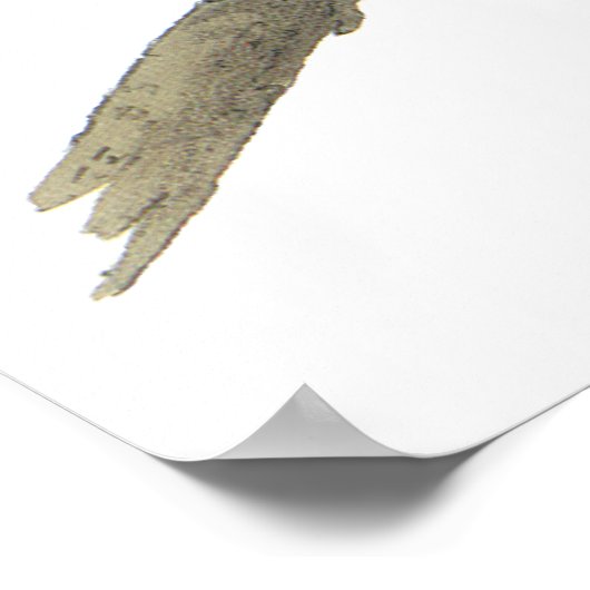 Audubon Great Grau Owl Poster oder Print (Ecke)