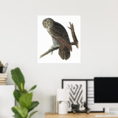 Audubon Great Grau Owl Poster oder Print (Heimbüro)