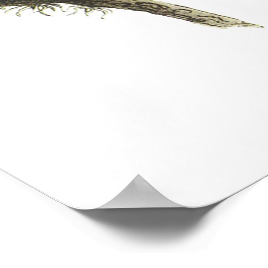 Audubon Great Horned Owls Poster oder Print (Ecke)