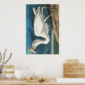 Audubon Great White Heron Poster (Küche)