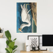 Audubon Great White Heron Poster (Heimbüro)