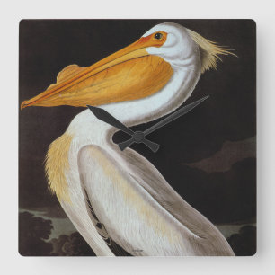 Audubon: Great White Pelican Quadratische Wanduhr
