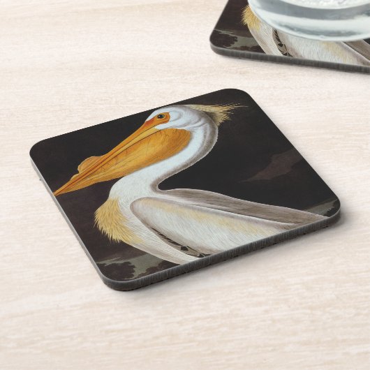 Audubon: Großer weißer Pelikan Getränkeuntersetzer (Linke Seite)