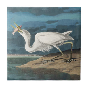 Audubon Großer Weißer Reiher: Vintage Küsten Vogel Fliese