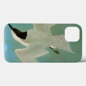 Audubon: Gull-Billed Tern Case-Mate iPhone Hülle (Rückseite (Horizontal))