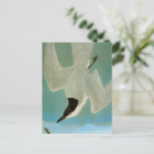 Audubon: Gull-Billed Tern Postkarte (Stehend Vorderseite)