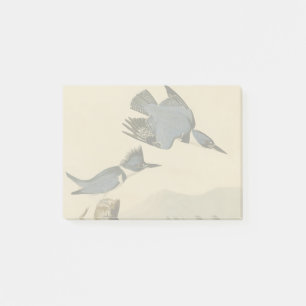 Audubon Gürtel-Kisvogel Vintage Vogel Natur Post-it Klebezettel