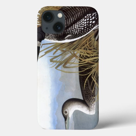 Audubon: Häufig Case-Mate iPhone Hülle (Rückseite)
