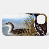 Audubon: Häufig Case-Mate iPhone Hülle (Rückseite (Horizontal))