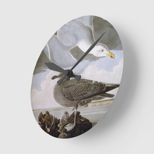 Audubon: Hering Gull Runde Wanduhr (Winkel)