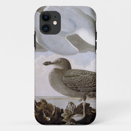 Audubon: Hering-Möve Case-Mate iPhone Hülle (Rückseite)