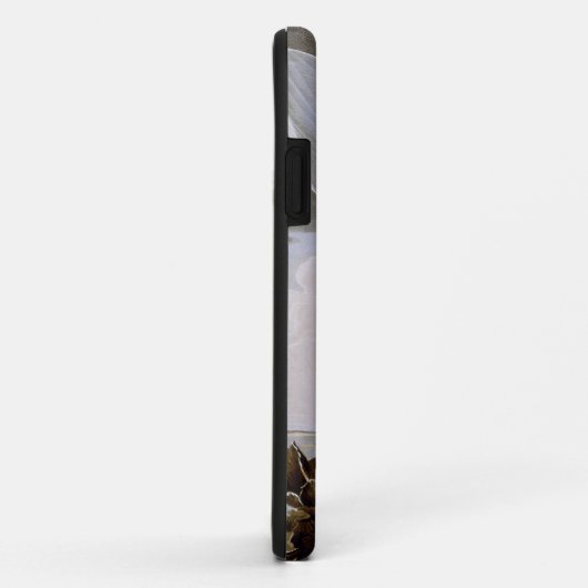 Audubon: Hering-Möve Case-Mate iPhone Hülle (Hinten/Rechts)