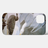 Audubon: Hering-Möve Case-Mate iPhone Hülle (Rückseite (Horizontal))