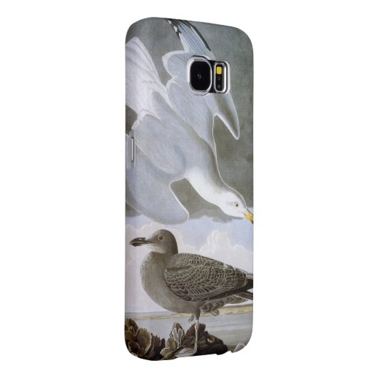 Audubon: Hering-Möve Case-Mate Samsung Galaxy Hülle (Rückseite/rechts)