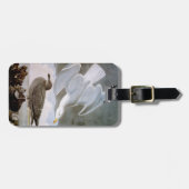 Audubon: Hering-Möve Gepäckanhänger (Vorderseite horizontal)