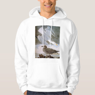 Audubon: Hering-Möve Hoodie