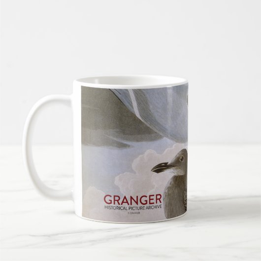 Audubon: Hering-Möve Kaffeetasse (Links)