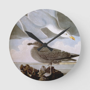 Audubon: Hering-Möve Runde Wanduhr