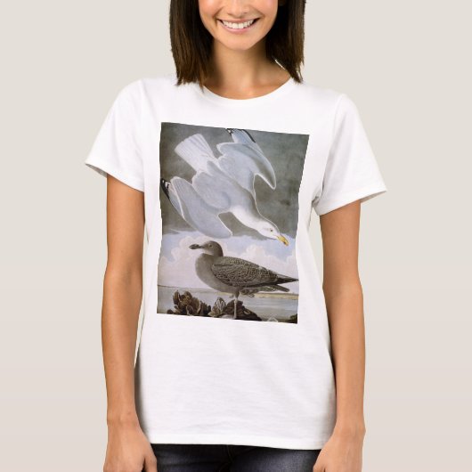 Audubon: Hering-Möve T-Shirt (Vorderseite)