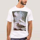 Audubon: Hering-Möve T-Shirt (Vorderseite)