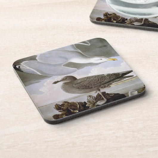 Audubon: Hering-Möve Untersetzer (Linke Seite)