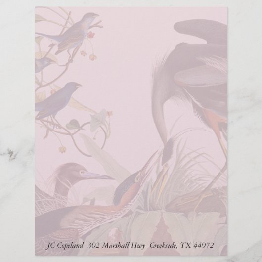Audubon Heron Birds Collage Stationery Letterhead (Vorderseite)