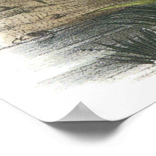 Audubon Heron Poster (Ecke)