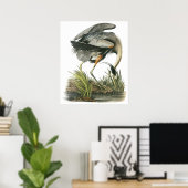 Audubon Heron Poster (Heimbüro)