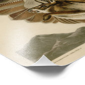 Audubon Illustration Rotschwanzfalken Fotodruck (Ecke)