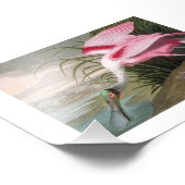 Audubon Illustration Spoonbill Fotodruck (Ecke)