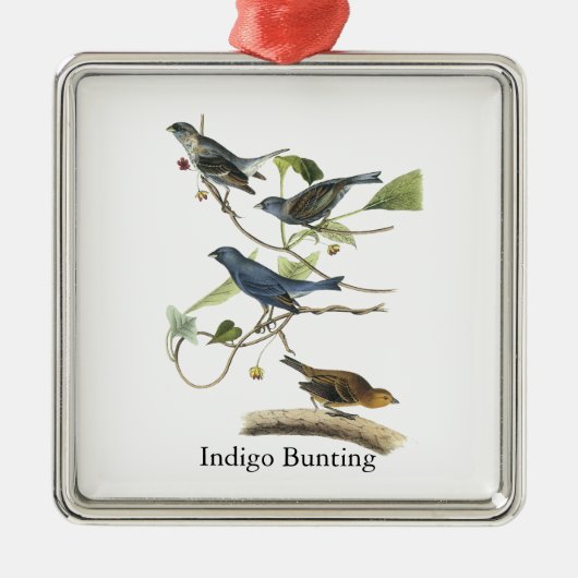 Audubon Indigo-Flaggen-Druck Silbernes Ornament (Vorne)