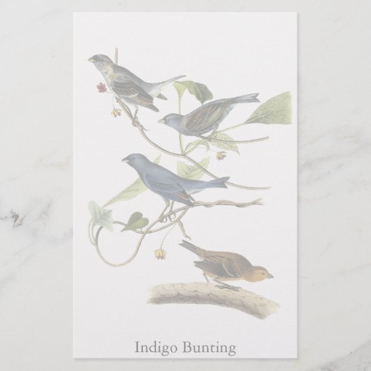 Audubon Indigo Jagd Print Briefpapier (Vorderseite)
