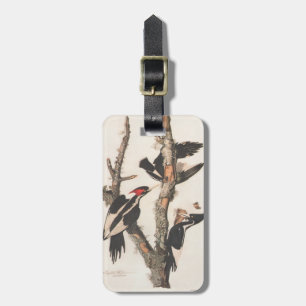 Audubon Ivory-Billed Woodpecker Gepäckanhänger