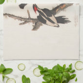 Audubon Ivory-Billed Woodpecker Handtuch (Gefaltet)