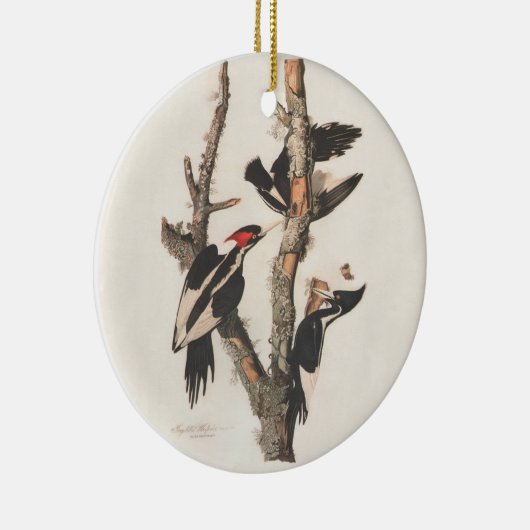 Audubon Ivory-Billed Woodpecker Keramik Ornament (Rechts)