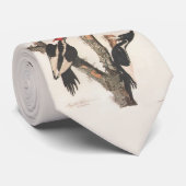 Audubon Ivory-Billed Woodpecker Krawatte (Gerollt)