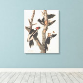 Audubon Ivory-Billed Woodpecker Leinwanddruck (Insitu (Holzboden))