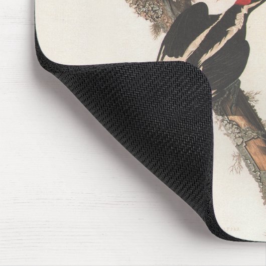Audubon Ivory-Billed Woodpecker Mousepad (Ecke)