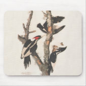 Audubon Ivory-Billed Woodpecker Mousepad (Vorne)