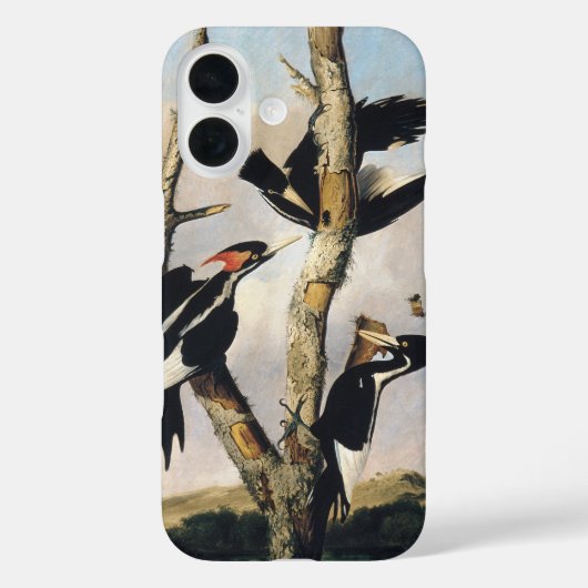 Audubon Ivory-Billed Woodpecker Painting Case-Mate iPhone Hülle (Rückseite)