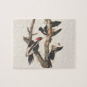 Audubon Ivory-Billed Woodpecker Puzzle (Horizontal)