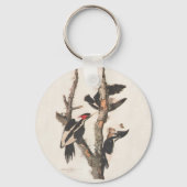 Audubon Ivory-Billed Woodpecker Schlüsselanhänger (Vorderseite)