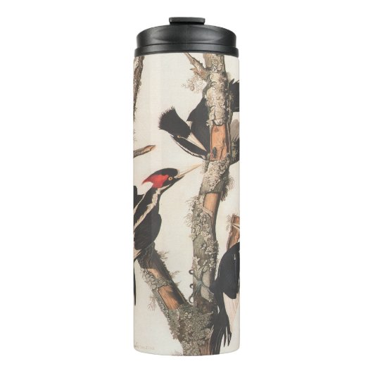 Audubon Ivory-Billed Woodpecker Thermosbecher (Vorderseite)