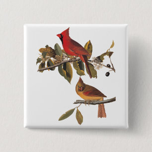 Audubon Kardinal Pair in Wild-Almond-Tree Button